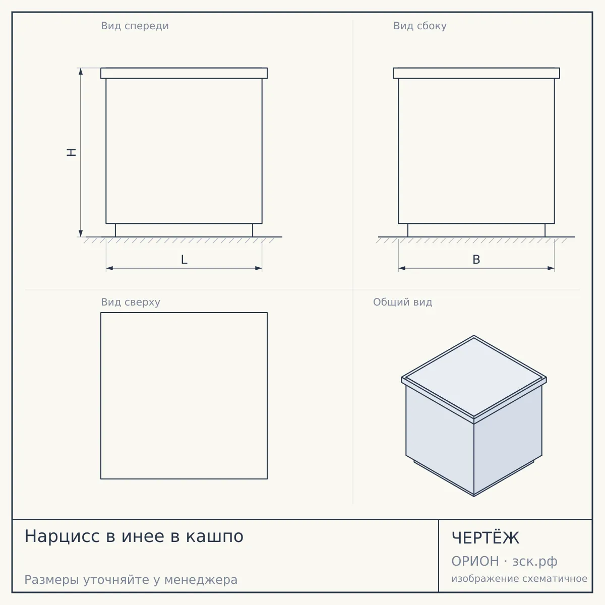 Нарцисс в инее в кашпо — чертёж